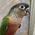 Image-square_50