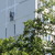 Image-square_50