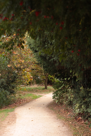 Image-preview_300x200