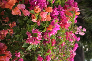 Image-preview_300x200