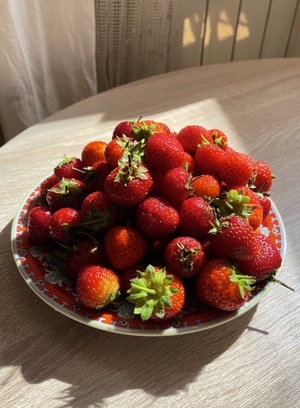 Image-preview_300x200