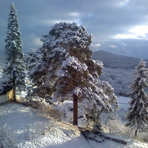 Image-preview_300x200