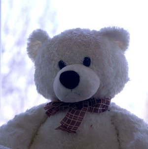 Image-preview_300x200