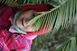 Image-preview_300x200