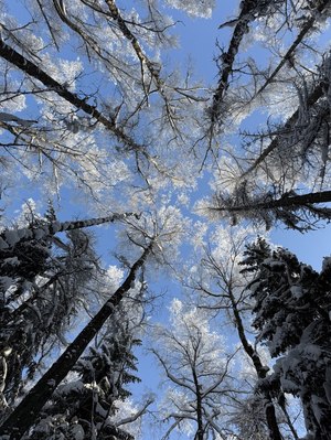 Image-preview_300x200