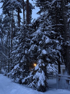 Image-preview_300x200