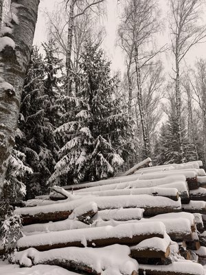 Image-preview_300x200