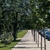 Image-square_50