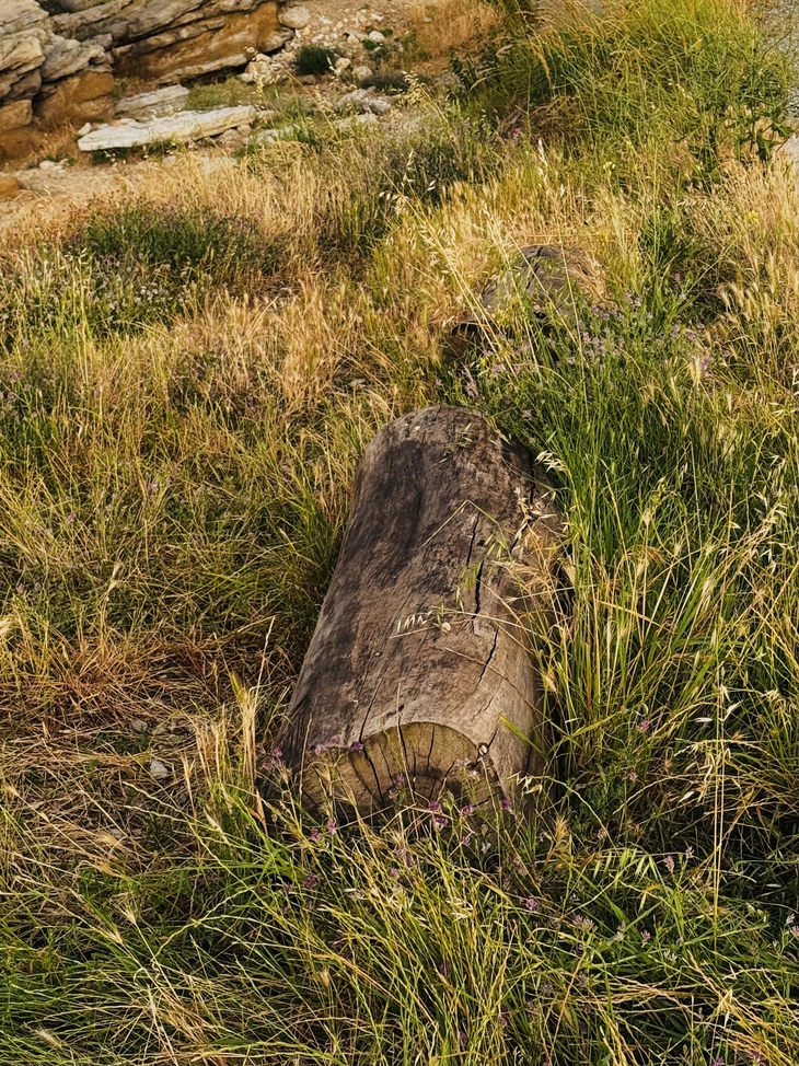Image-normal